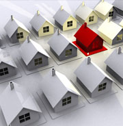 Western Colorado Estate Sales and Liquidation Services